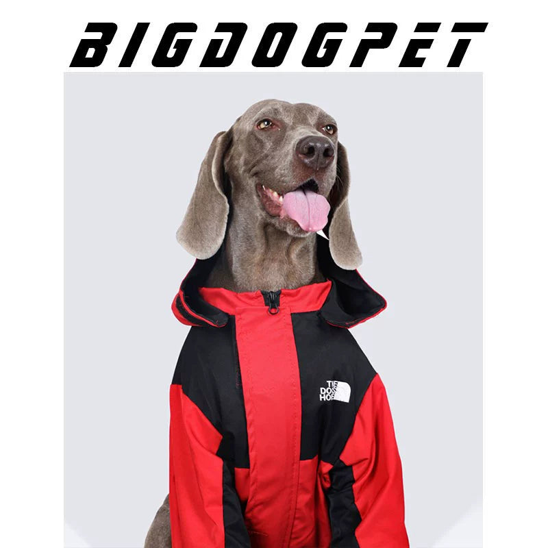 Roupas para cães grandes BigDog Labrador