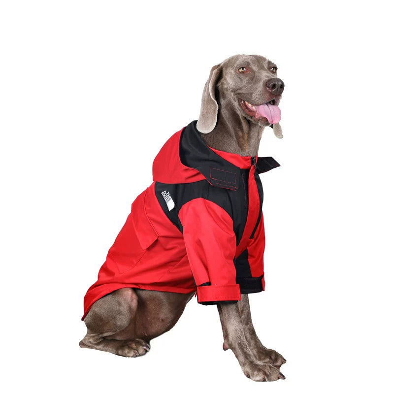 Roupas para cães grandes BigDog Labrador